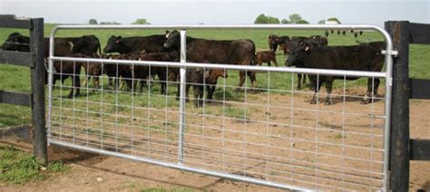 metal farm gate fence house|12' farm gates galvanized.